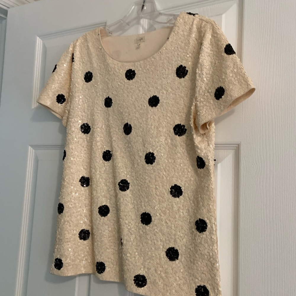 J Crew sequined top.